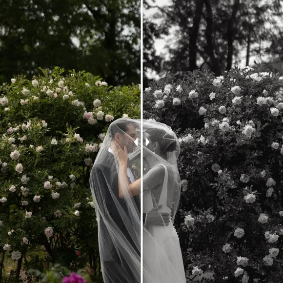 Rebecca Frank RF Co. Presets – Timeless Editorial Lightroom Preset Pack