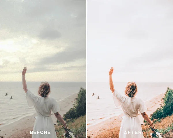 Travel Preset & LUTs Collection (Vivid Adventure Edits)