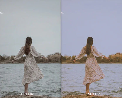 Vintage Look Preset & LUTs Collection (Retro Film Aesthetic)