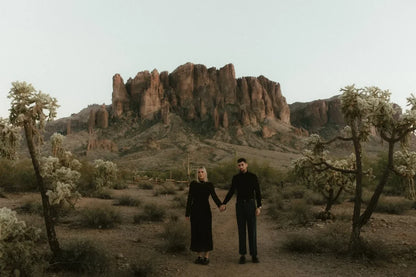 Meridian Presets – Saguaro Nostalgic Film Presets