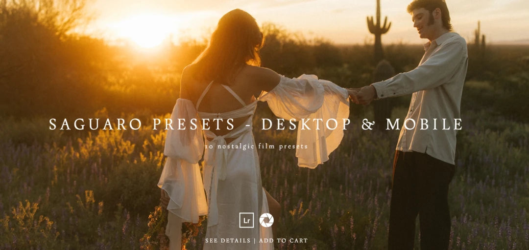 Meridian Presets – Saguaro Nostalgic Film Presets