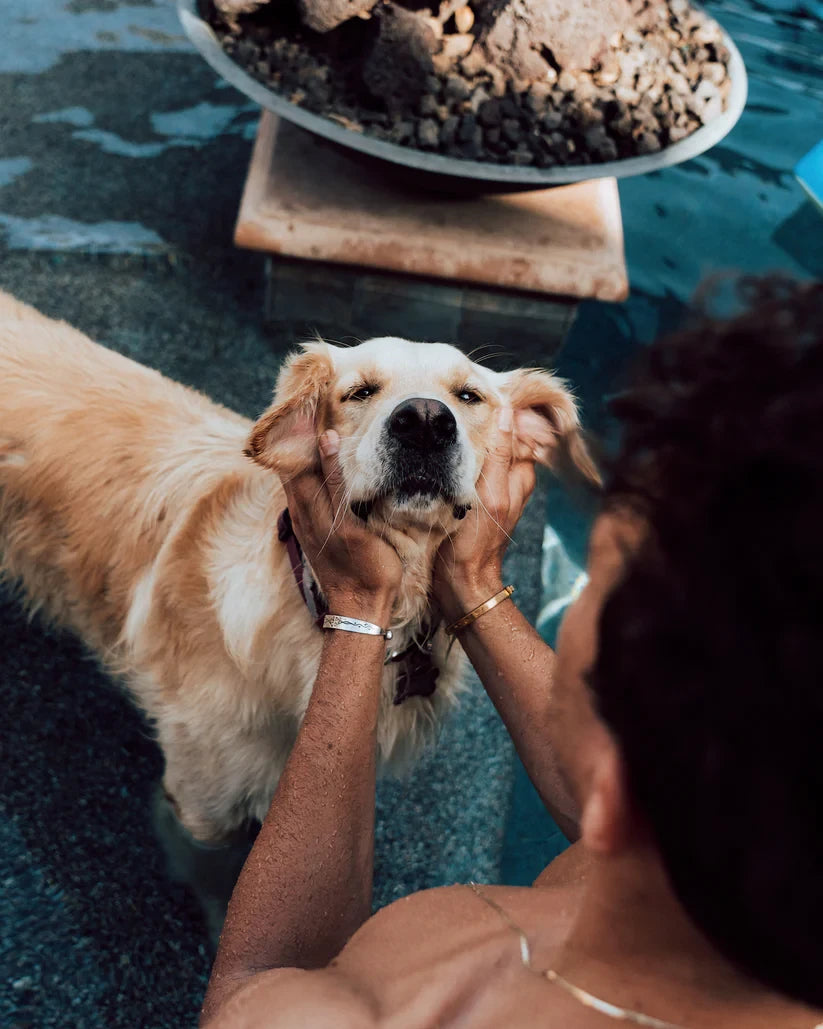 Phlow Presets – 1st Edition Collection