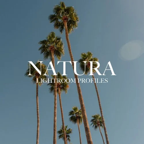 Mitch Lally — Natura Lightroom Profiles (Portra Emulation)