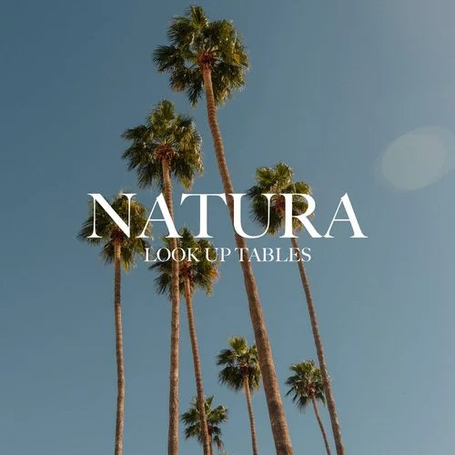 Mitch Lally — Natura LUT Pack