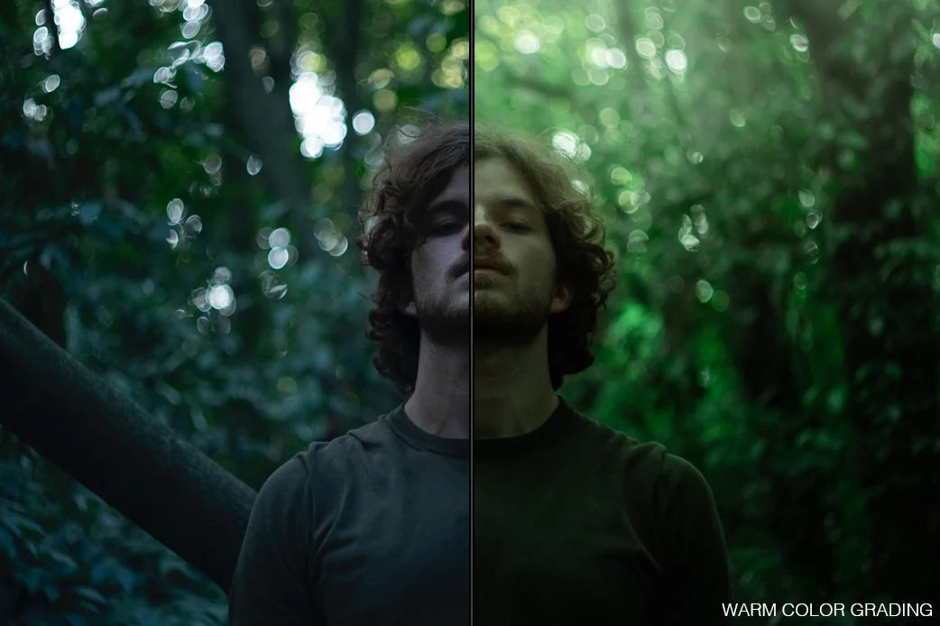 WINTER – Lightroom Presets (Cold & Moody Tones by iamwinter)