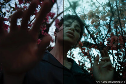 WINTER – Lightroom Presets (Cold & Moody Tones by iamwinter)