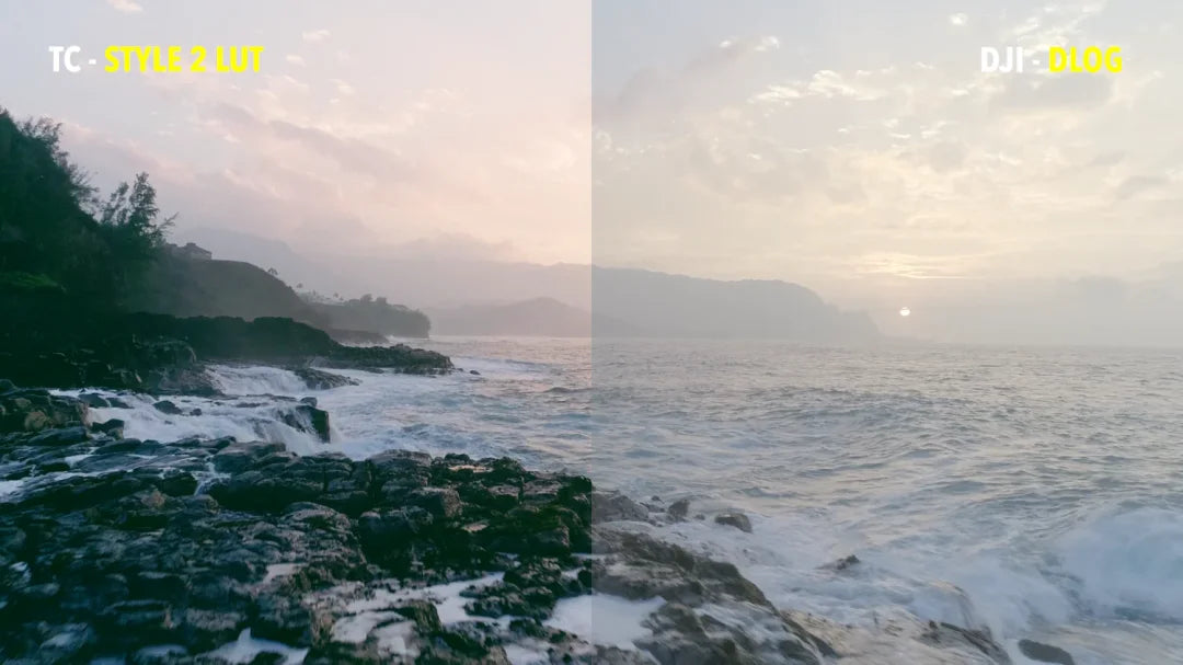 Tropic Colour – Drone Looks