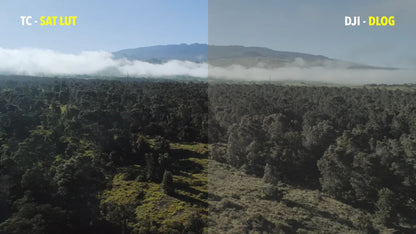 Tropic Colour – Drone Looks