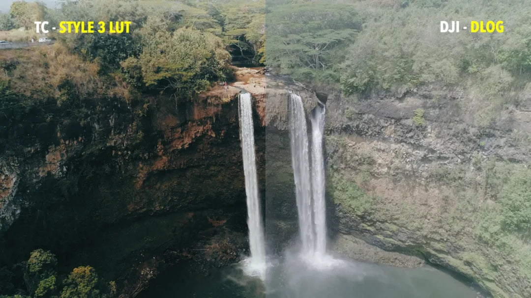 Tropic Colour – Drone Looks