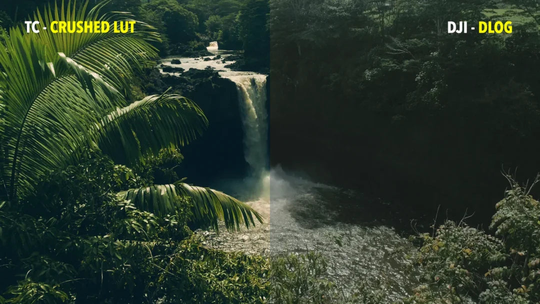 Tropic Colour – Drone Looks