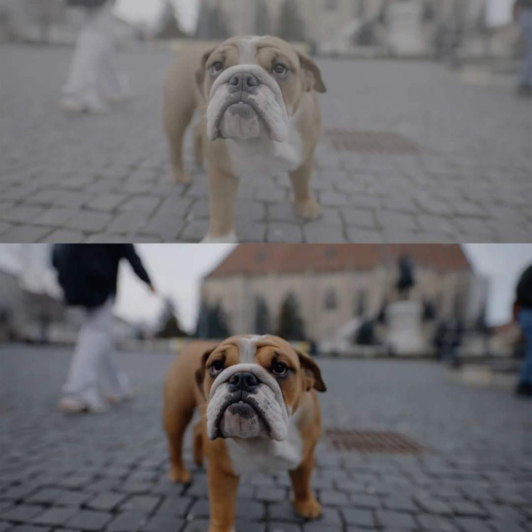 SONY SLOG 3 LUTs – Skintone Edition (21 LUTs + Bonus Monitoring LUT)