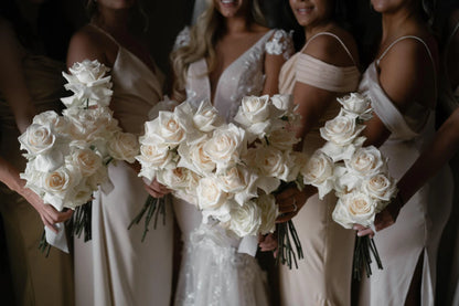 Meridian Presets – Essence by Marcos Sanchez: Minimalist Elegance & Timeless Narratives