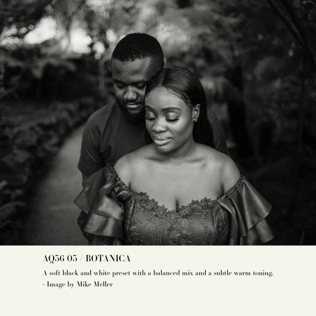 Archipelago – Quest 36 Botanica: Vibrant Nature-Inspired Preset Collection
