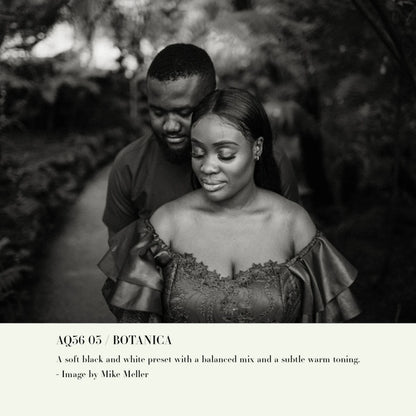 Archipelago – Quest 36 Botanica: Vibrant Nature-Inspired Preset Collection