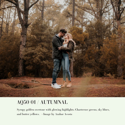 Archipelago – Quest 30 Autumnal: Cinematic Fall Preset Collection