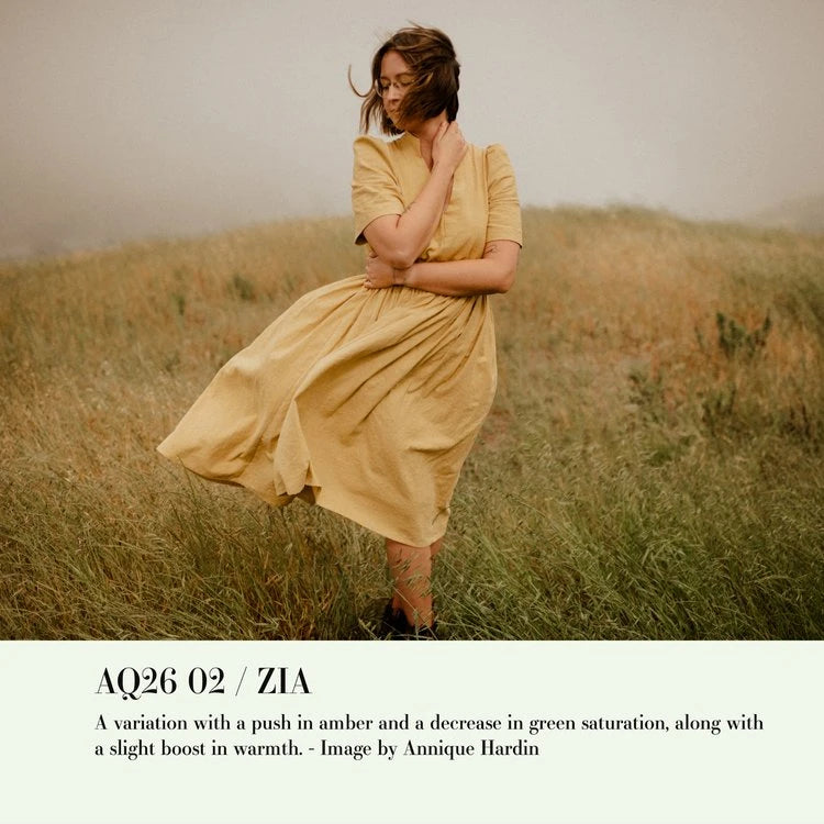 Archipelago – Quest 26 Zia: Golden Sunlight Preset Collection