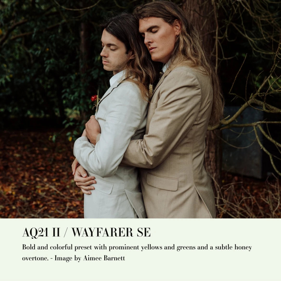 Archipelago – Quest 21 Wayfarer SE Presets
