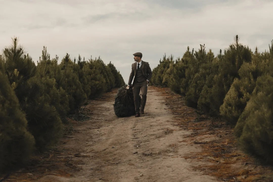 DVLOP — Shortstache RGB Presets (Cinematic Storytelling)