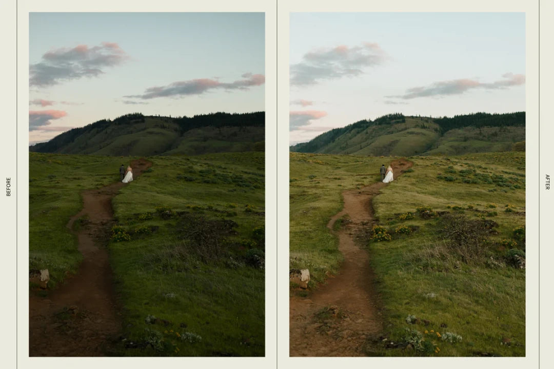 Dawn Charles – DC Presets Pack One: Moody & Earthy Lightroom Presets