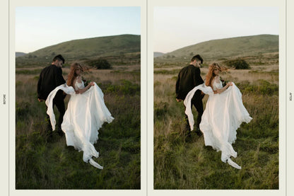 Dawn Charles – DC Presets Pack Three: Natural, Warm & Earthy Tones