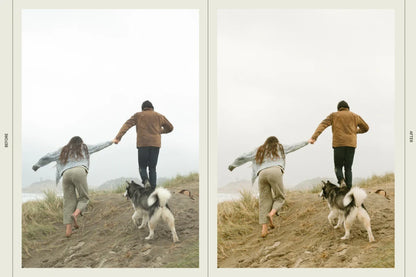 Dawn Charles – DC Presets Pack Three: Natural, Warm & Earthy Tones