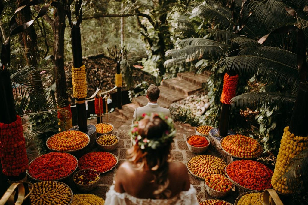 Meridian Presets – LPX: Travel-Ready Preset Collection for Any Light