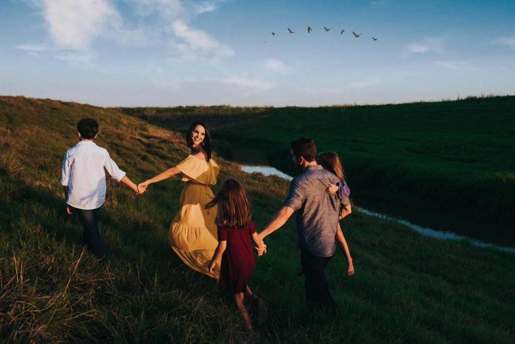 Meridian Presets – Twyla Jones Aero: Creative Birds, Clouds & Tilt-Shift Effects