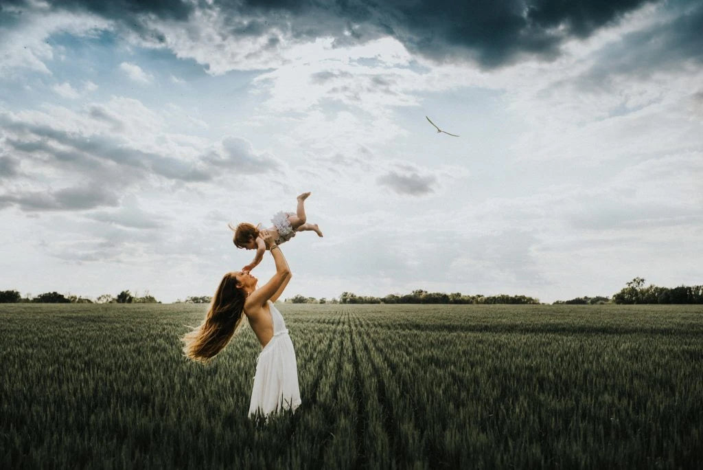 Meridian Presets – Twyla Jones Aero: Creative Birds, Clouds & Tilt-Shift Effects