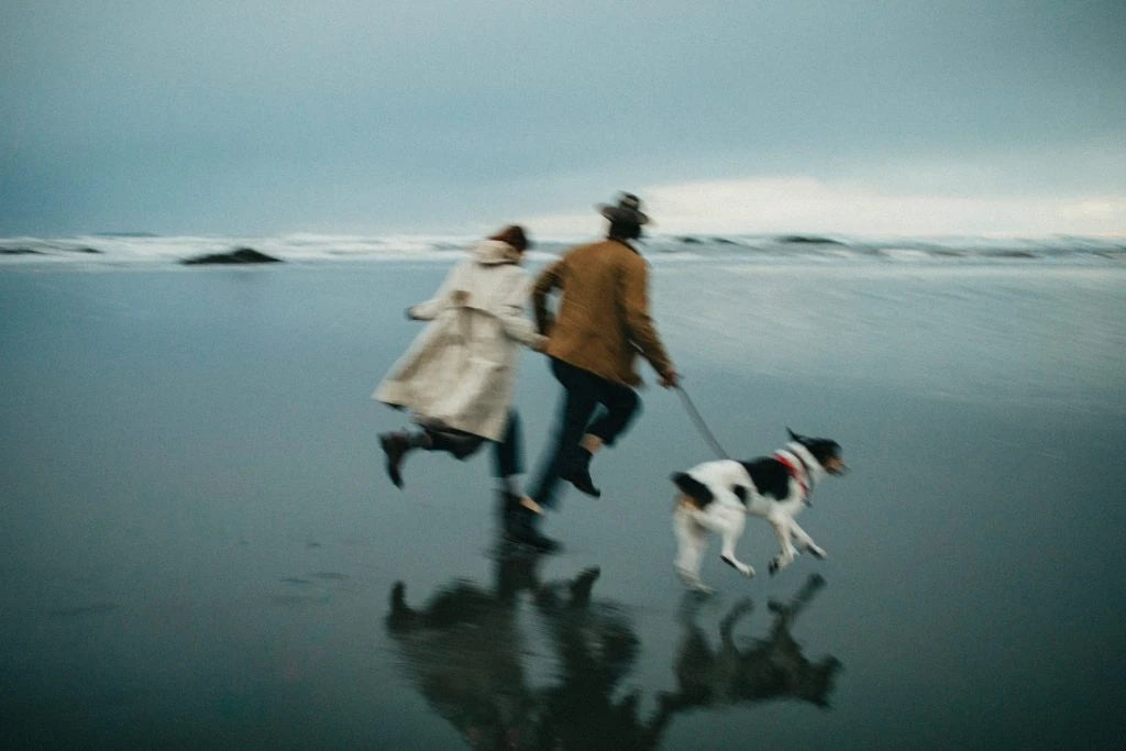 Meridian Presets – LKO 2.0: Moody Pacific Northwest Inspired Editing