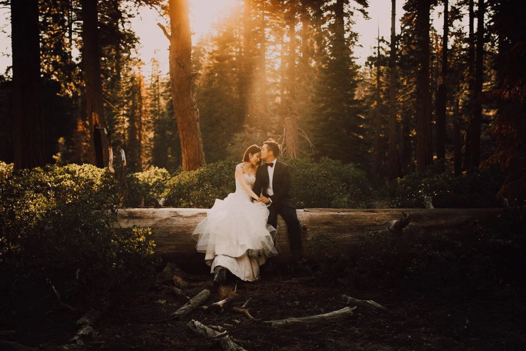 Meridian Presets – C&A: Artistic Lightroom Presets by Cody & Allison
