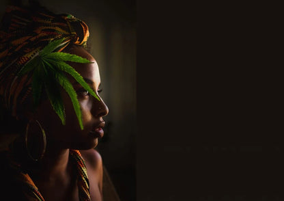 Meridian Presets – Solaye: Real Window Light Effects by Chinelle Rojas