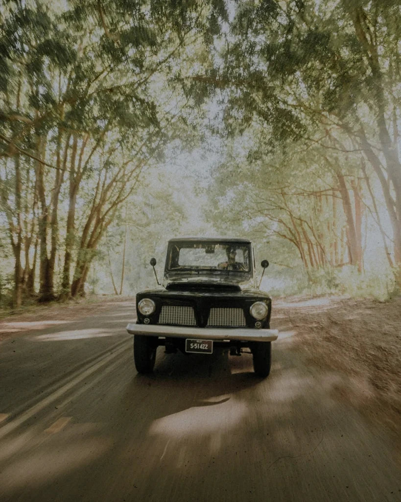 Ain Raadik – Tide Presets: Vintage-Inspired Nostalgic Tones for Modern Photography