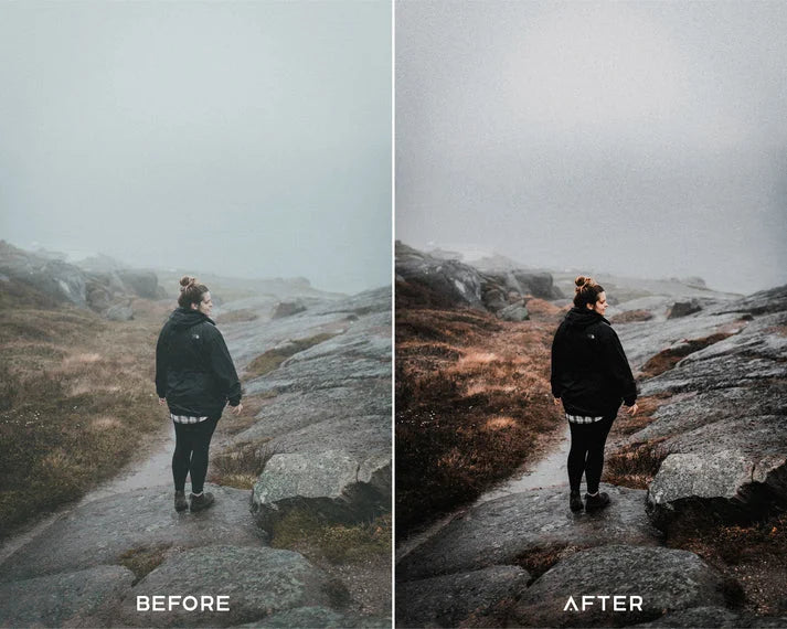 Cine Filmx Preset & LUTs Collection – Classic Gray Cinematic Tones