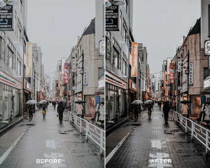Cine Filmx Preset & LUTs Collection – Classic Gray Cinematic Tones