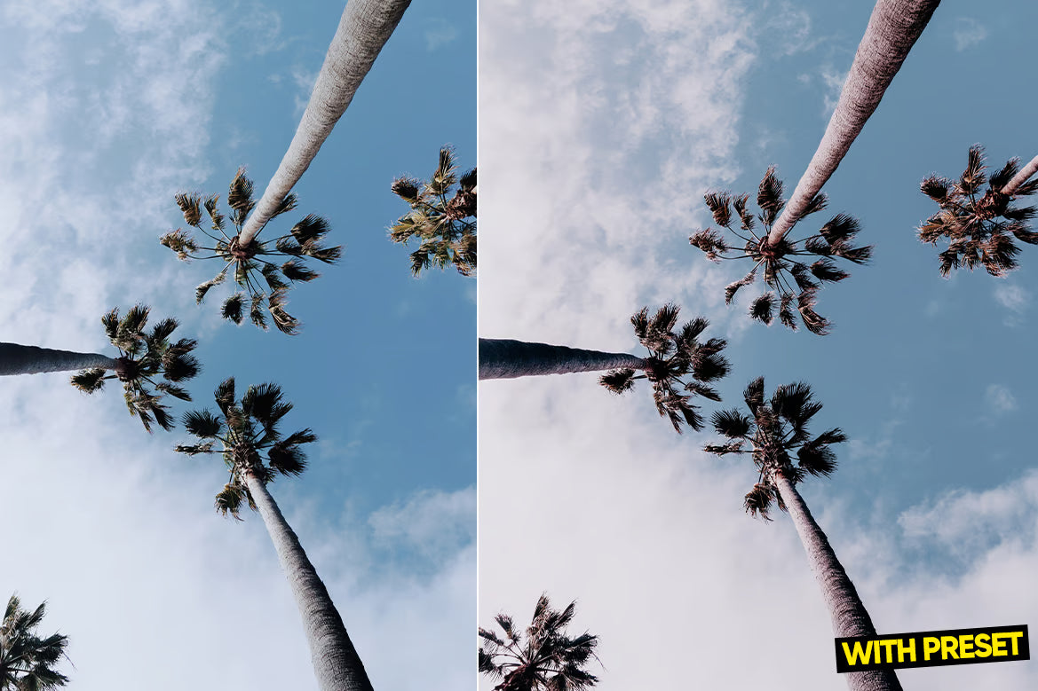 ARTA – Rose Gold Beach Lightroom Preset Pack (Desktop & Mobile)