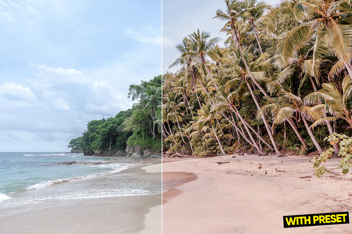 ARTA – Rose Gold Beach Lightroom Preset Pack (Desktop & Mobile)