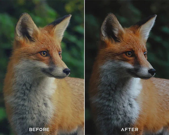 Cinematic Green Preset & LUTs Collection – Lush Filmic Tones