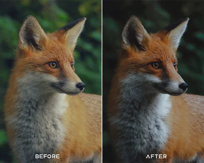 Cinematic Green Preset & LUTs Collection – Lush Filmic Tones