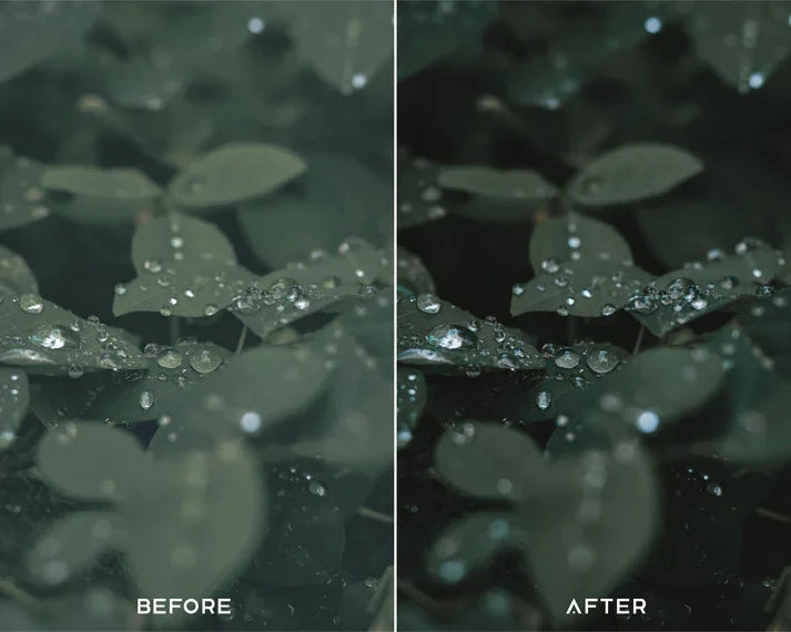 Cinematic Green Preset & LUTs Collection – Lush Filmic Tones