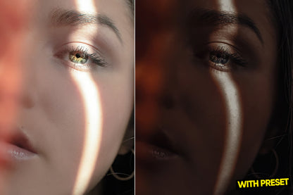 ARTA – Dark Tone Lightroom Preset Pack (Desktop & Mobile)