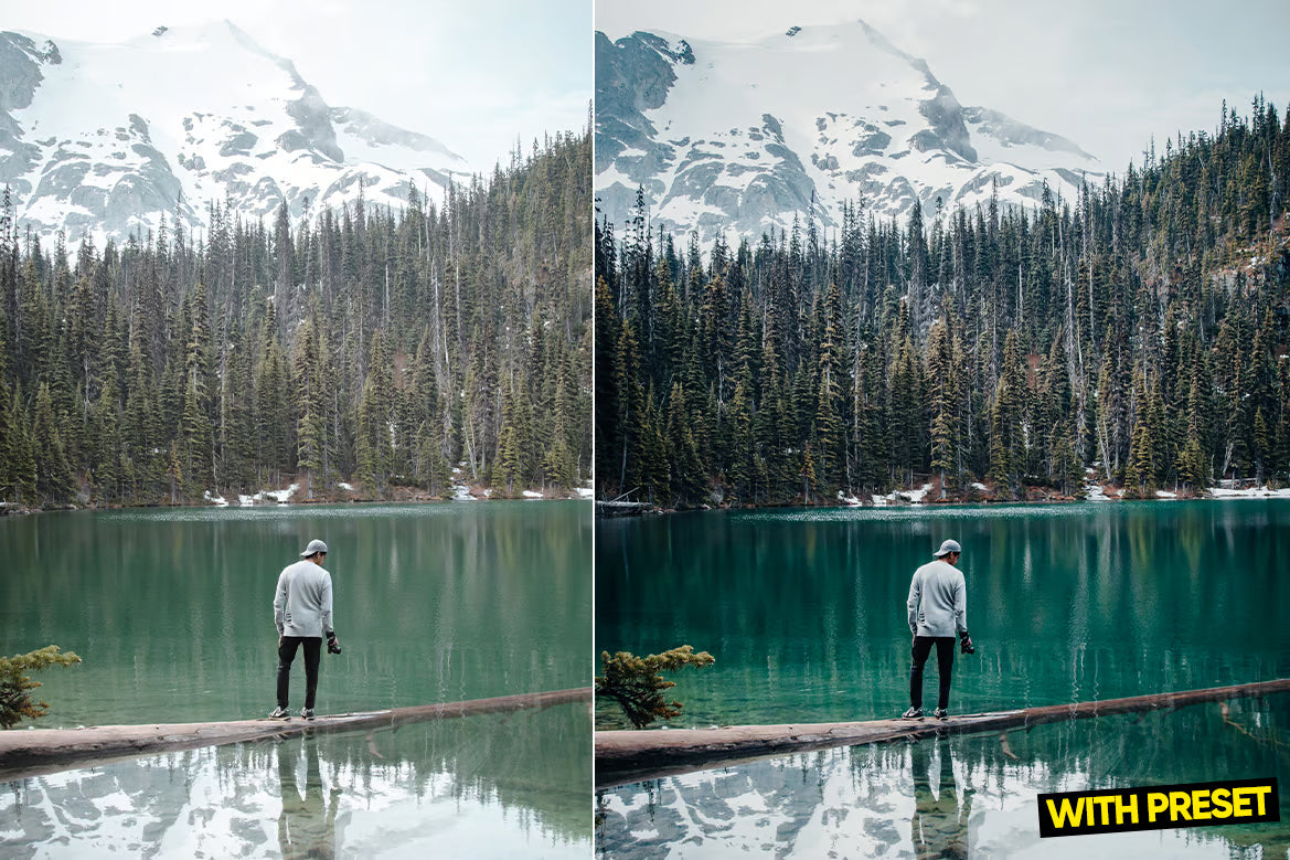 ARTA – ProRaw Lightroom Preset Pack (Desktop & Mobile)
