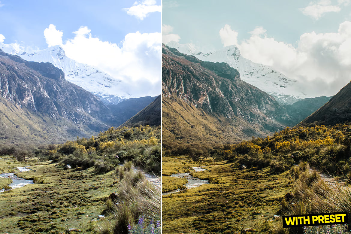 ARTA – ProRaw Lightroom Preset Pack (Desktop & Mobile)