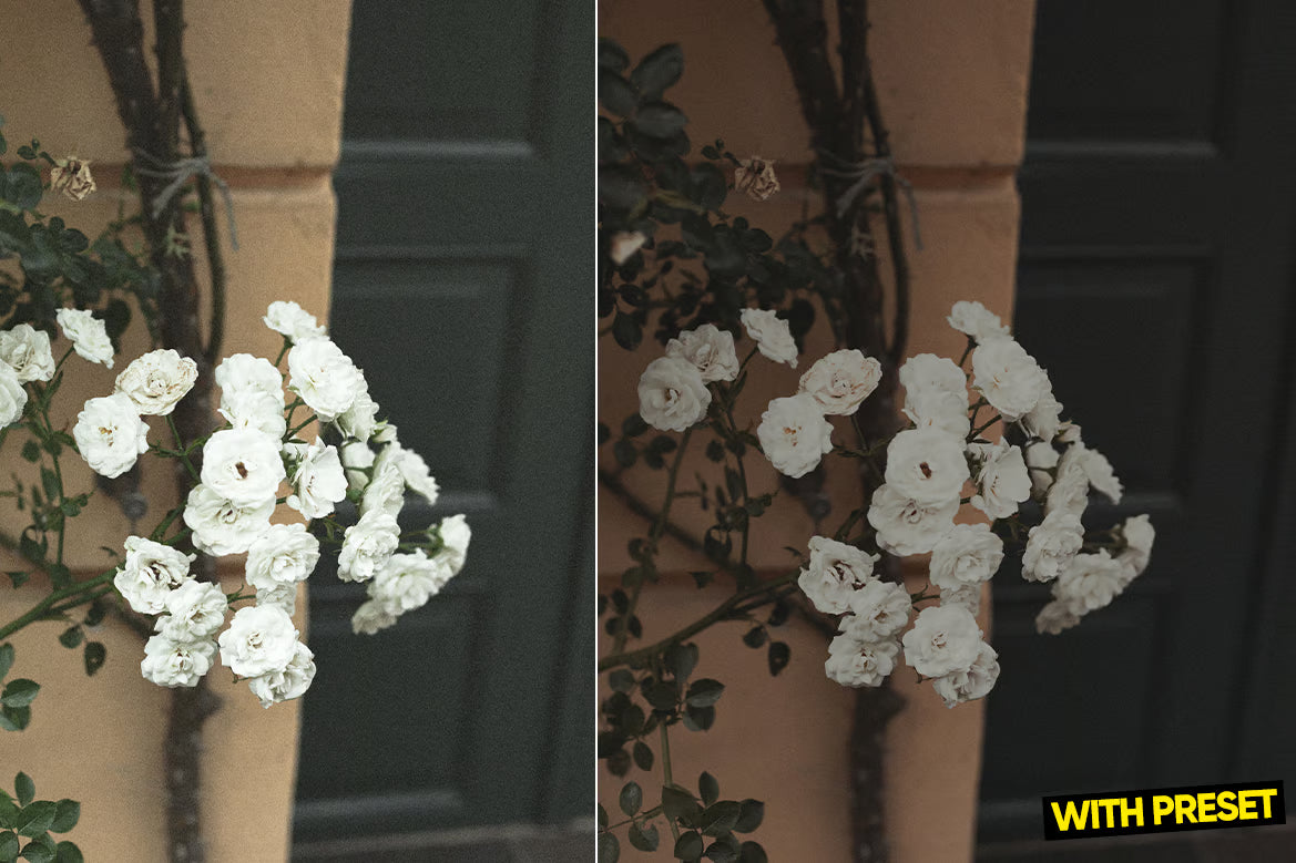 ARTA – Raw Layer Lightroom Preset Pack (Desktop & Mobile)