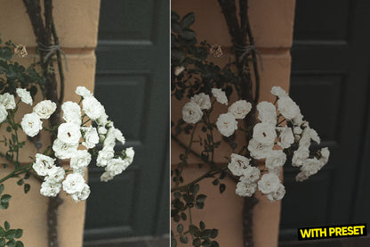 ARTA – Raw Layer Lightroom Preset Pack (Desktop & Mobile)