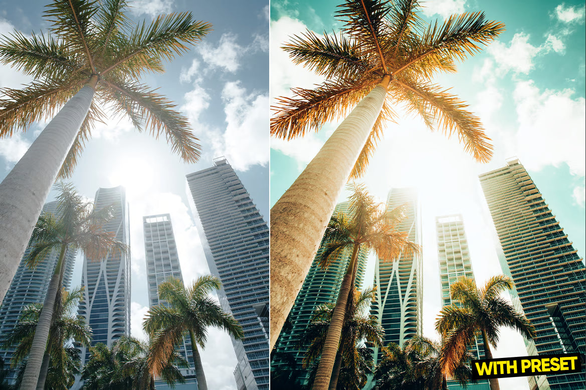 ARTA – Miami Blue Lightroom Preset Pack (Desktop & Mobile)