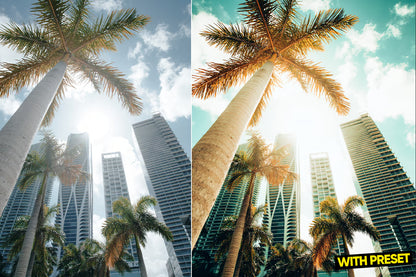 ARTA – Miami Blue Lightroom Preset Pack (Desktop & Mobile)