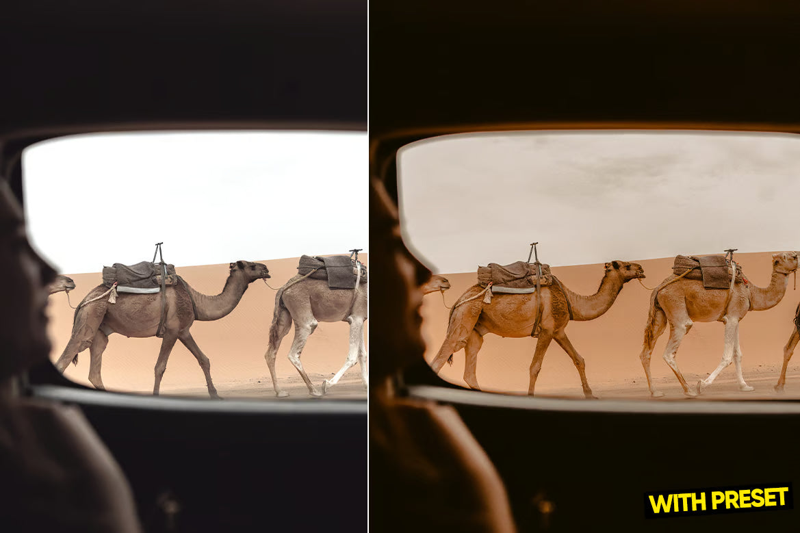 ARTA – Matte Film Lightroom Preset Pack (Desktop & Mobile)