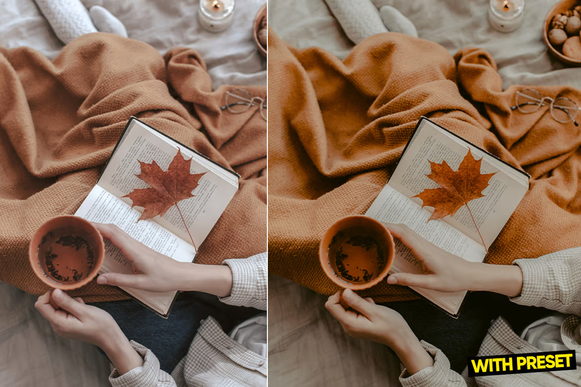 ARTA – Matte Film Lightroom Preset Pack (Desktop & Mobile)