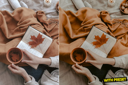 ARTA – Matte Film Lightroom Preset Pack (Desktop & Mobile)