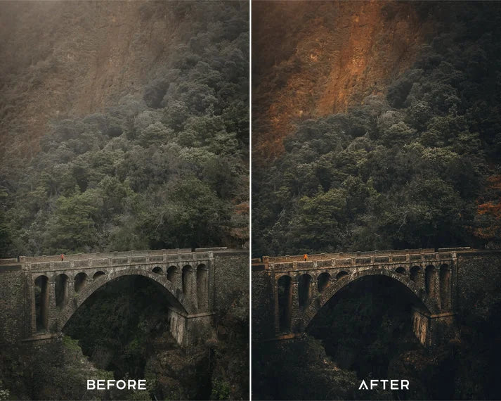 Cinematic Preset & LUTs Collection – Classic Movie-Style Looks
